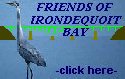 Click here to Visit The Friends Of Irondequoit Bay
